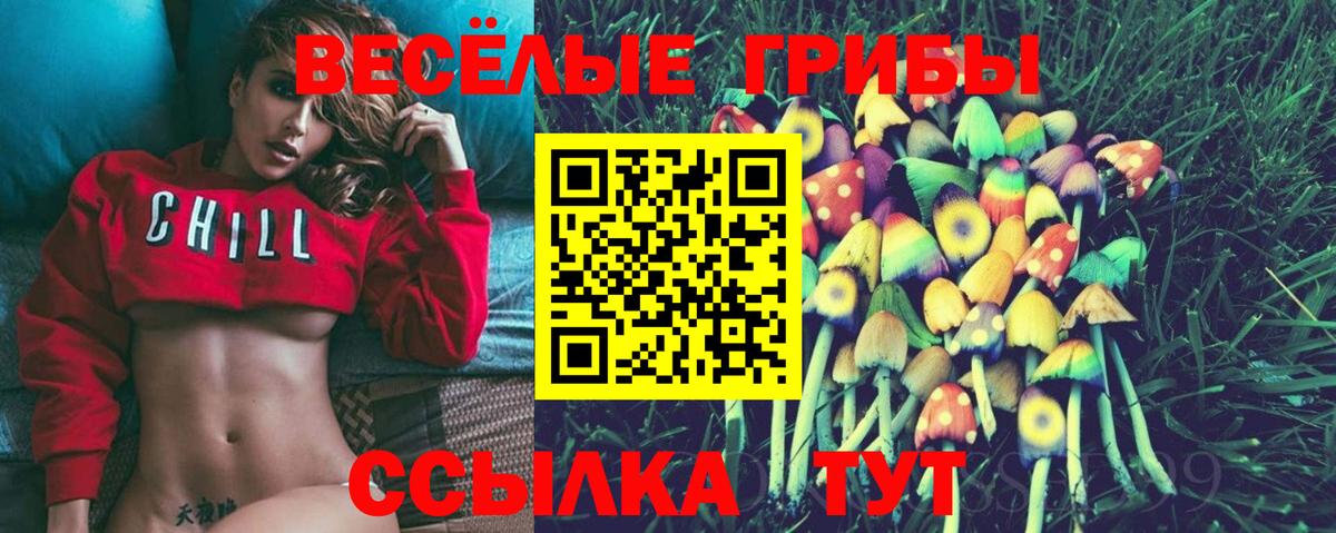 Псилоцибиновые грибы Psilocybe  Вход с VPN  Псилоцибиновые грибы прущие грибы  купить  сайты  Липецк 